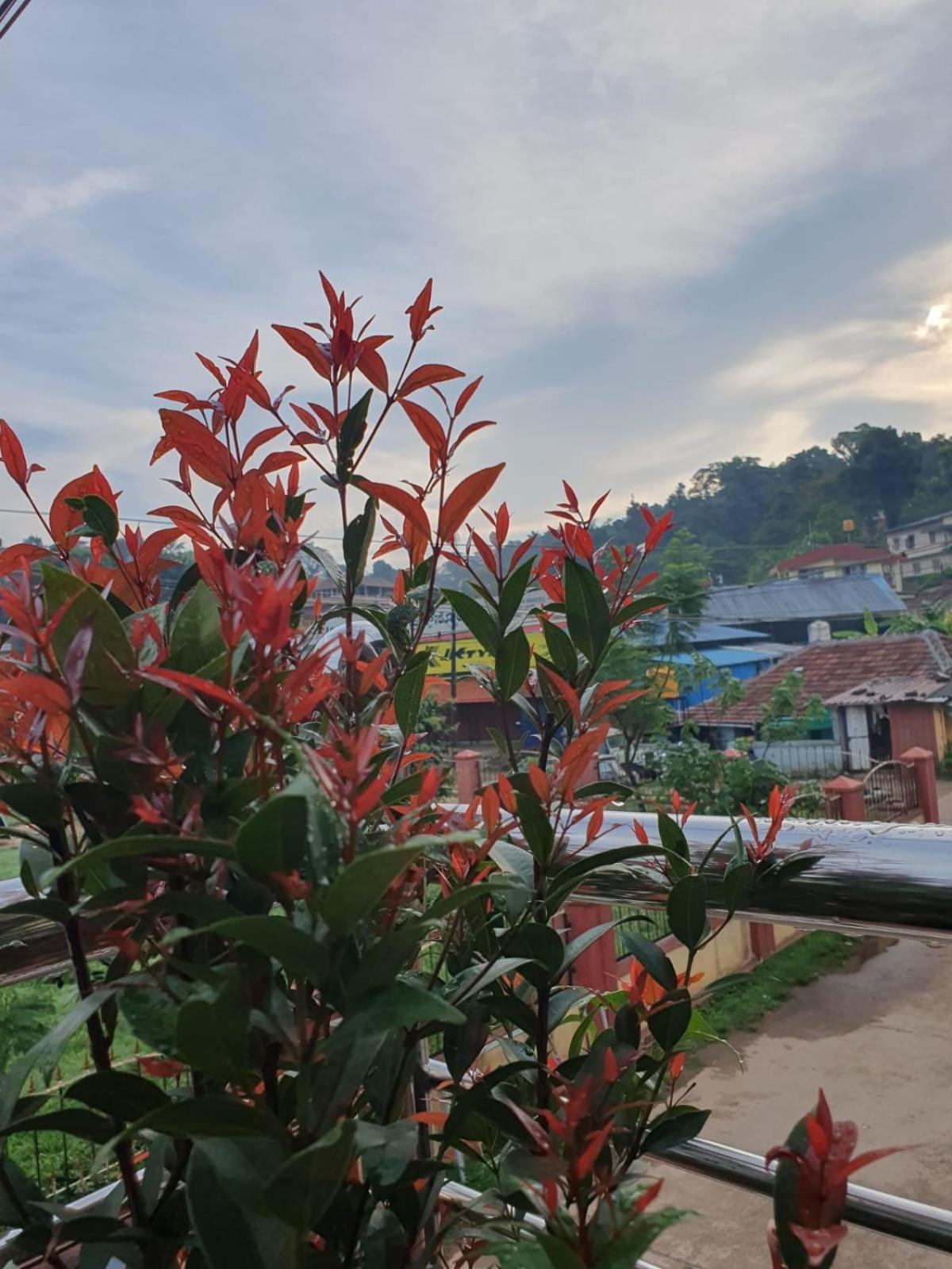 Varam Homestay Madikeri Esterno foto